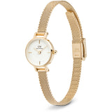 Orologio Donna Daniel Wellington Petite Mini - DW00100744